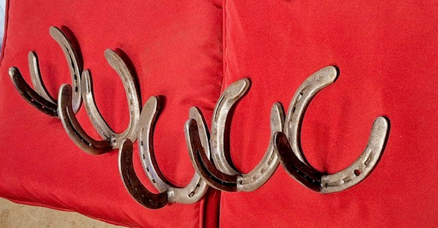 horseshoe hanger hooks (large)